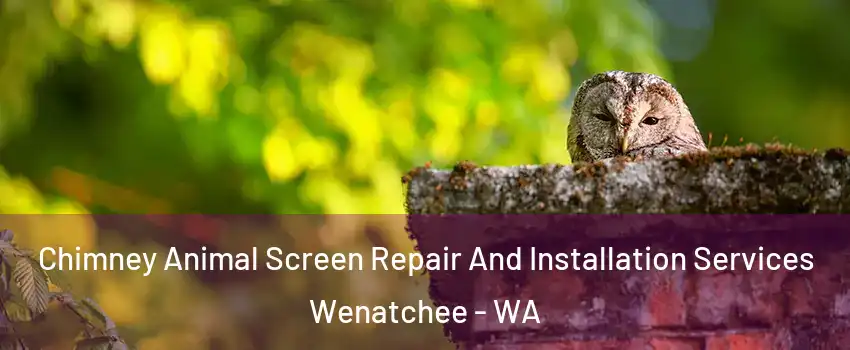  Chimney Animal Screen Repair And Installation Services Wenatchee - WA