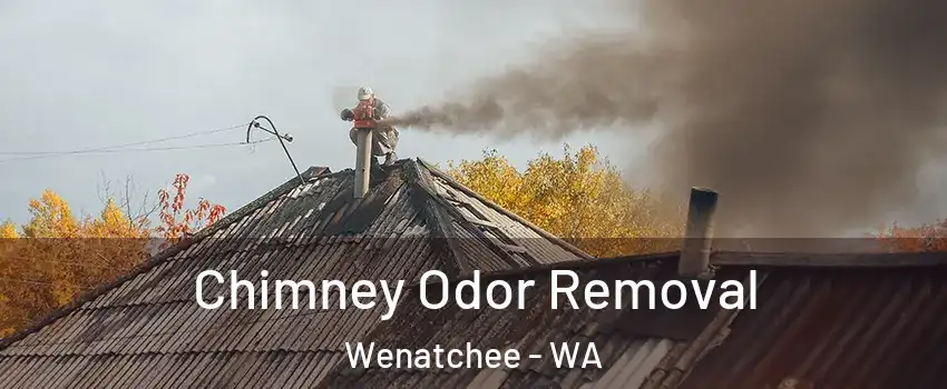  Chimney Odor Removal Wenatchee - WA