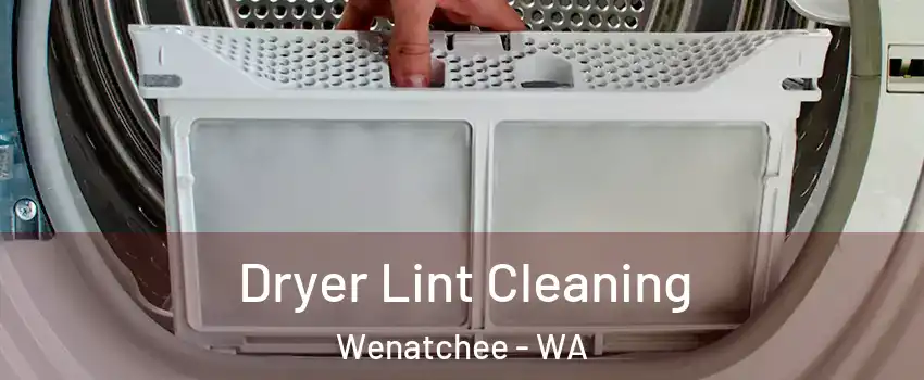  Dryer Lint Cleaning Wenatchee - WA