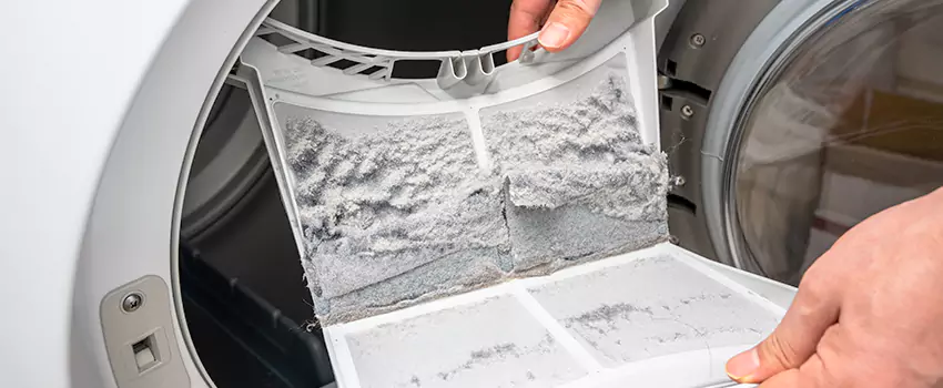 Best Dryer Lint Removal Company in Wenatchee, Washington