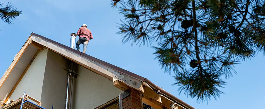 Birds Removal Contractors from Chimney in Wenatchee, WA