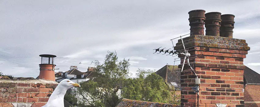 Chimney Cleaning And Restoration in Wenatchee, Washington