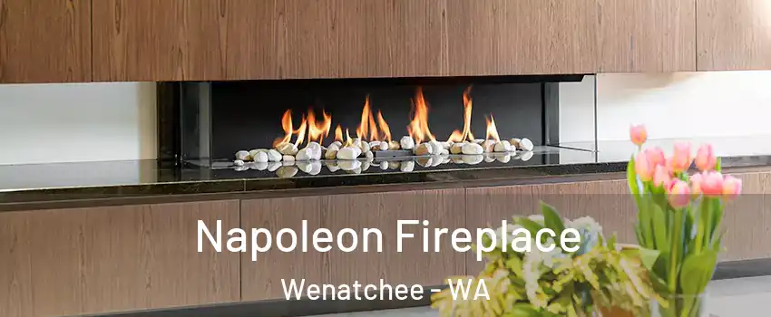  Napoleon Fireplace Wenatchee - WA